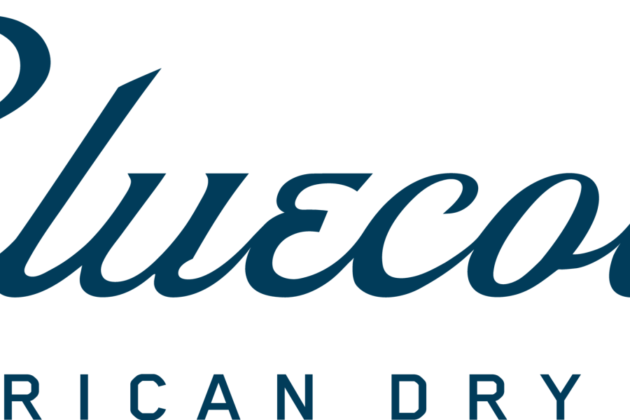 Bluecoat ADG secondary logo 302c
