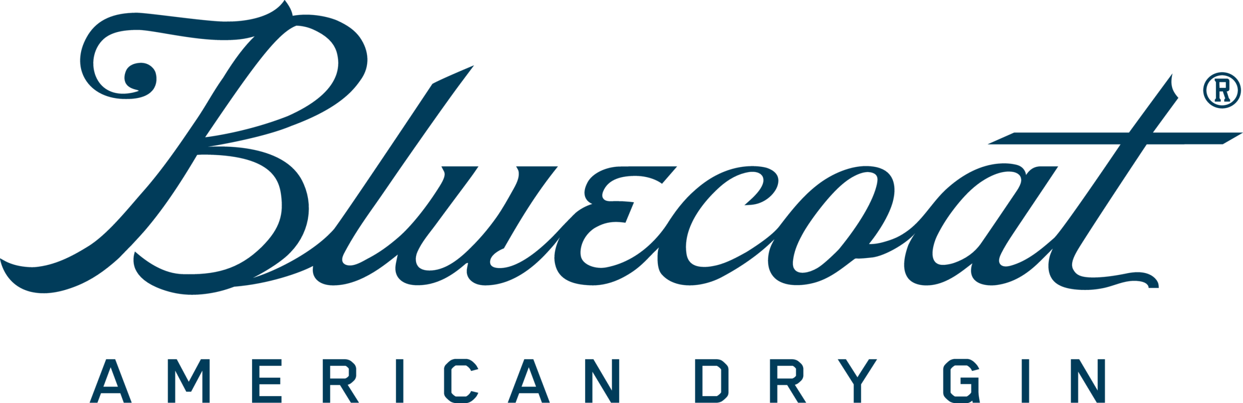 Bluecoat ADG secondary logo 302c